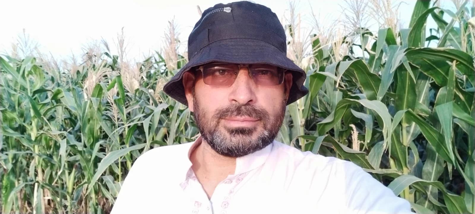 In the maize field