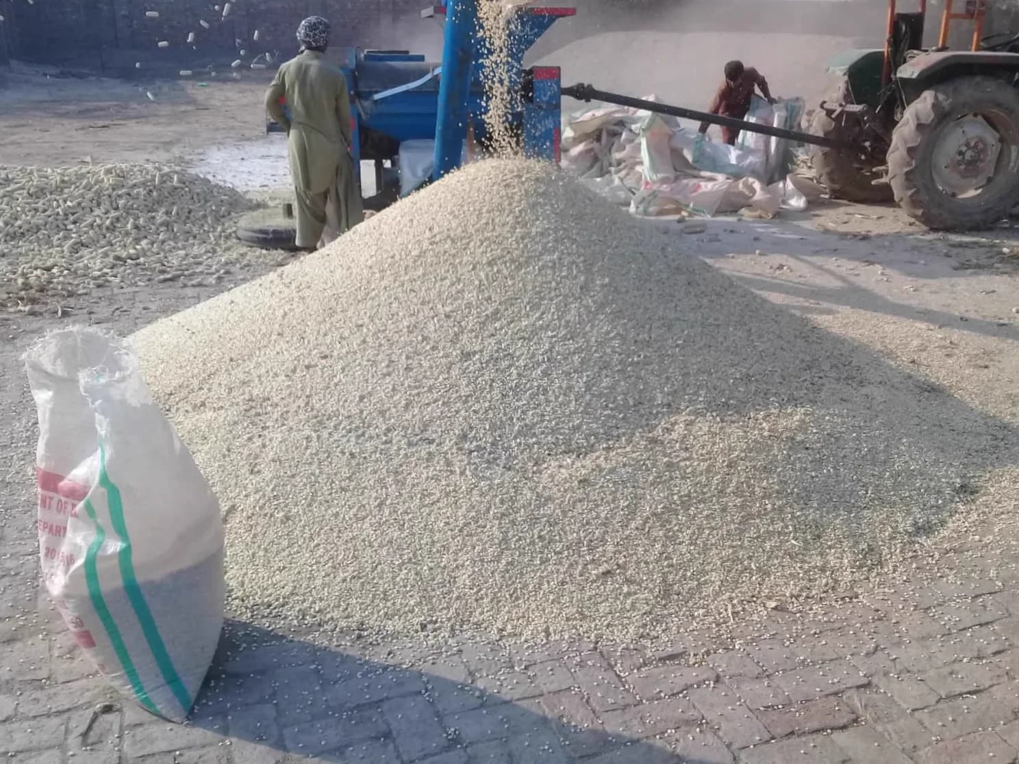 Grain processing